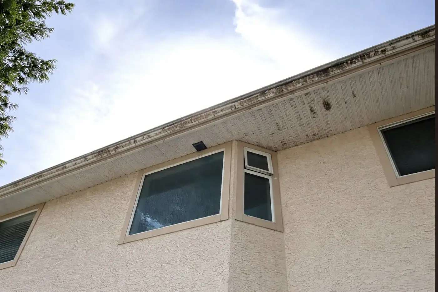 Ideal Pro gutter-face cleaning before