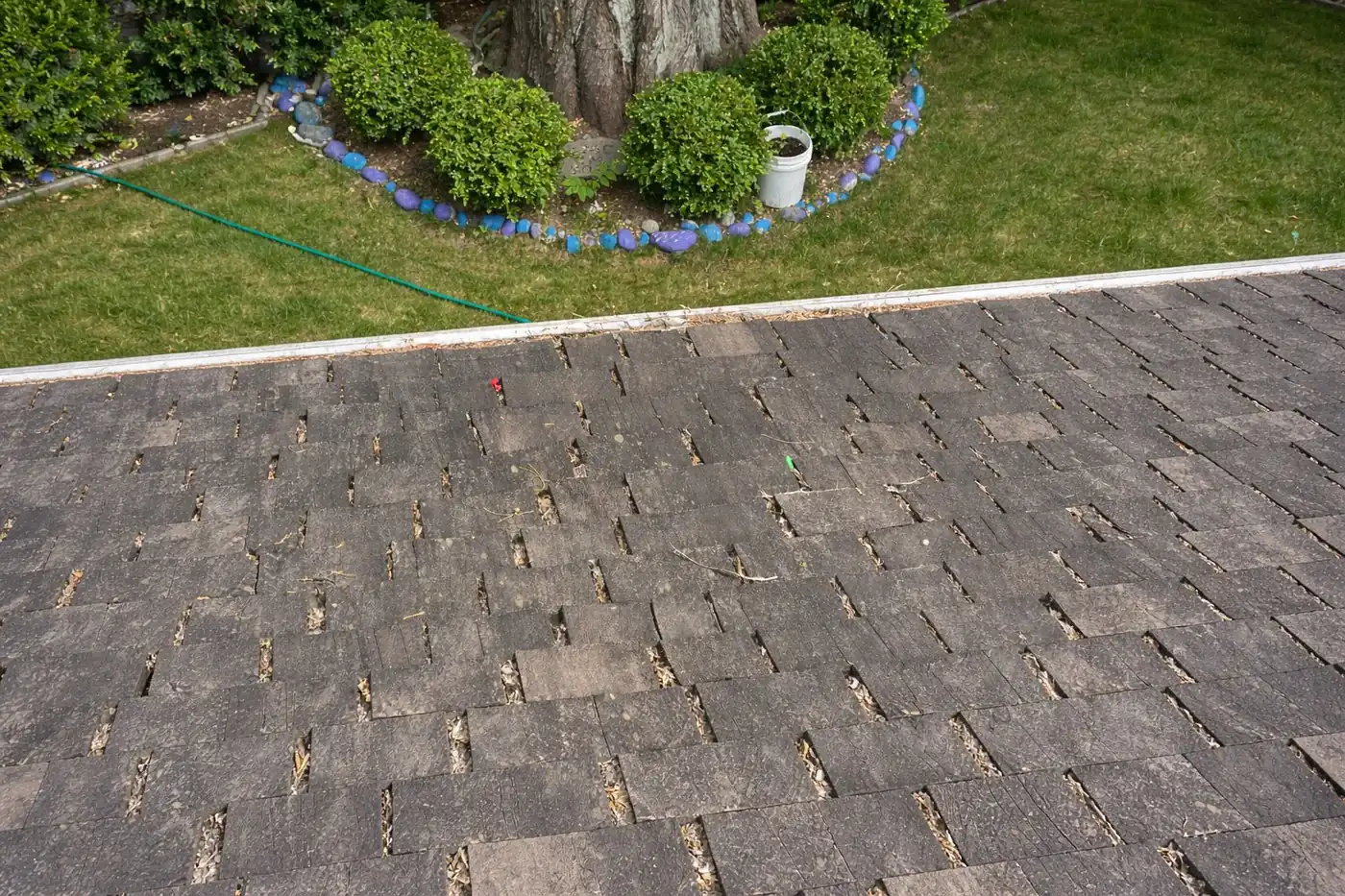 Ideal Pro roof moss care before