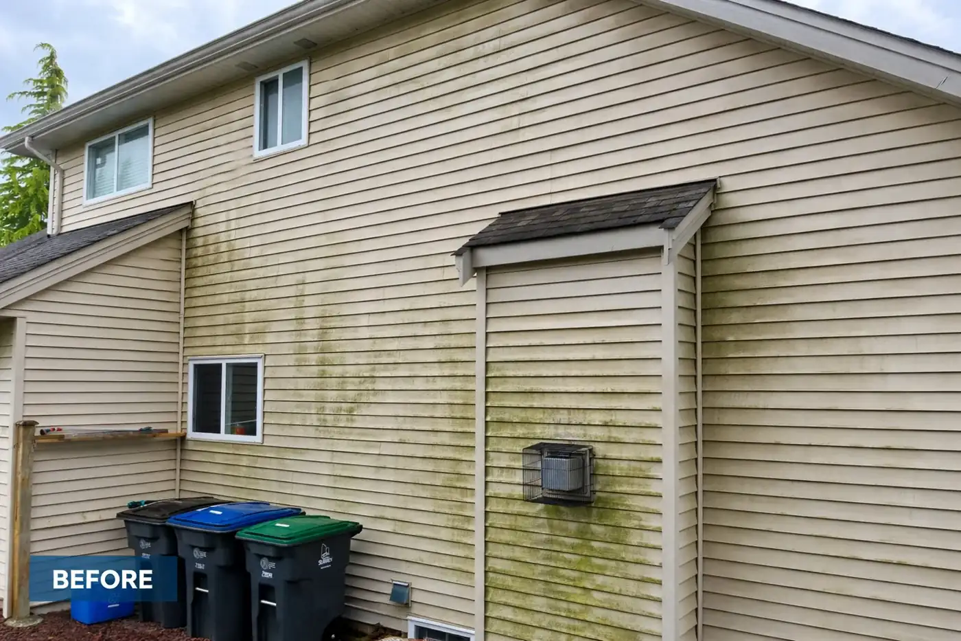 Ideal Pro house soft washing before